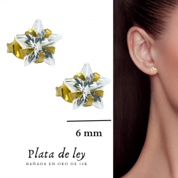 PENDIENTES PLATA DE LEY...