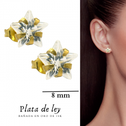 PENDIENTES PLATA DE LEY...